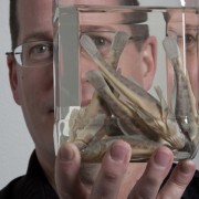 Dr. Lukas Rüber