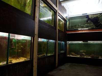 coldwater aquaria at Eawag by Andreas Taverna